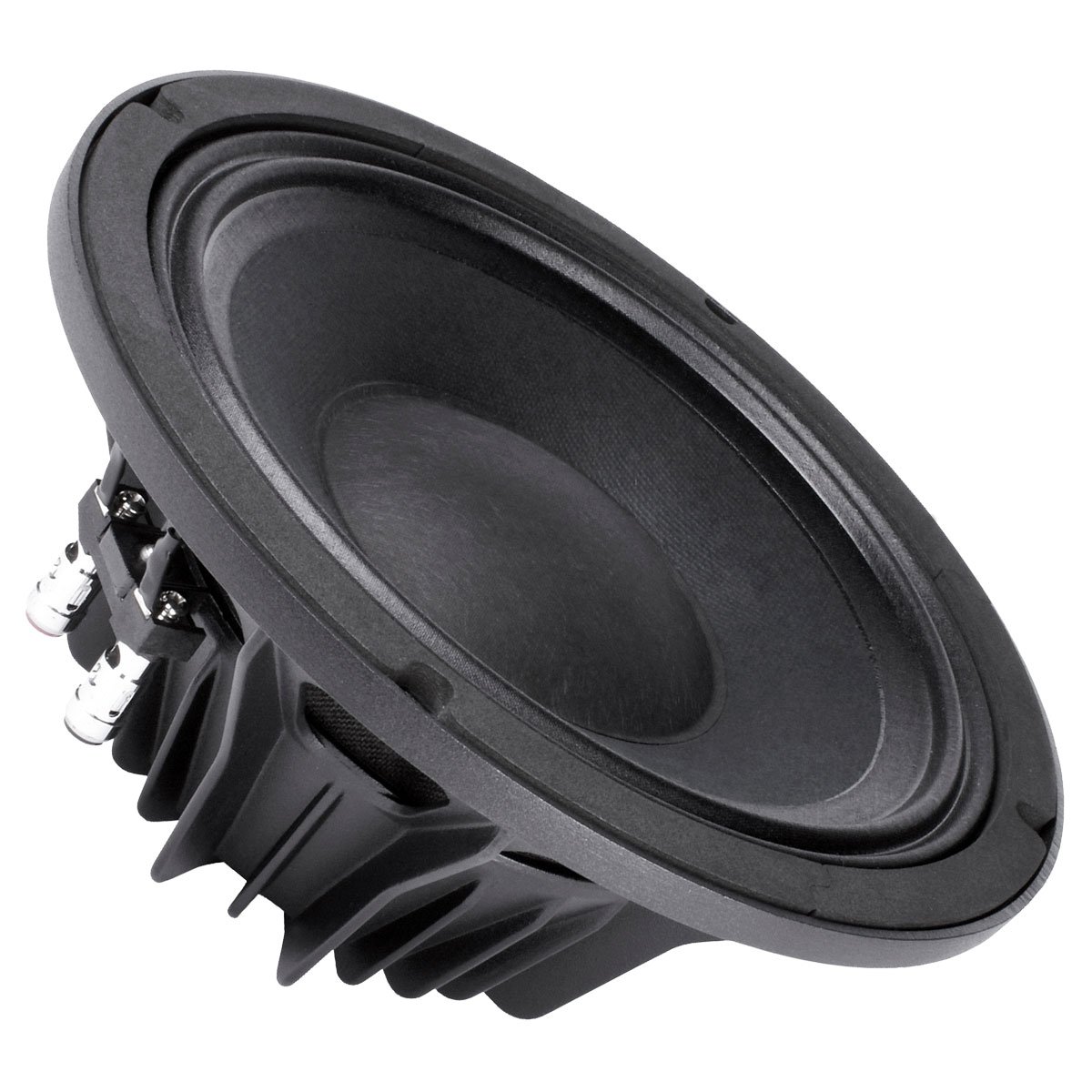 Amazon.com: Pair Faital PRO 10PR300 10
